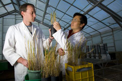 Our Research Strengths