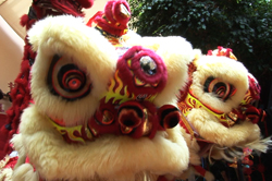 Chinese lion Chinese lion dance