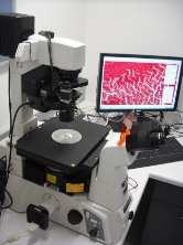 The Nikon Ti Eclipse epi-fluorescence microscope.
