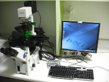 The Olymus IX81 epi-fluorescence microscope.