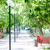 Relax on campus in parkland surroundings.