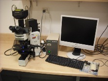 THe Olympus BX50 epi-fluorescence microscope.