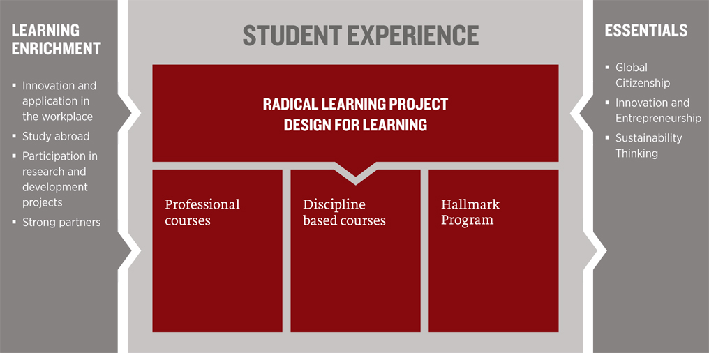 Student Experience framework 