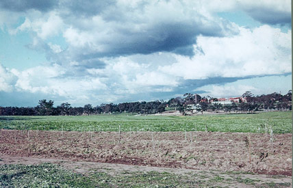 La Trobe University 1967 - View towards Mont Park