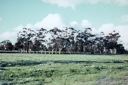 La Trobe University 1967