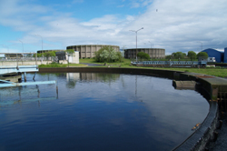 wastewater