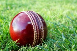 Cricket Ball