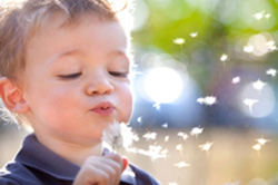 child with flower
