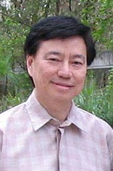 Professor Toh Swee-Hin