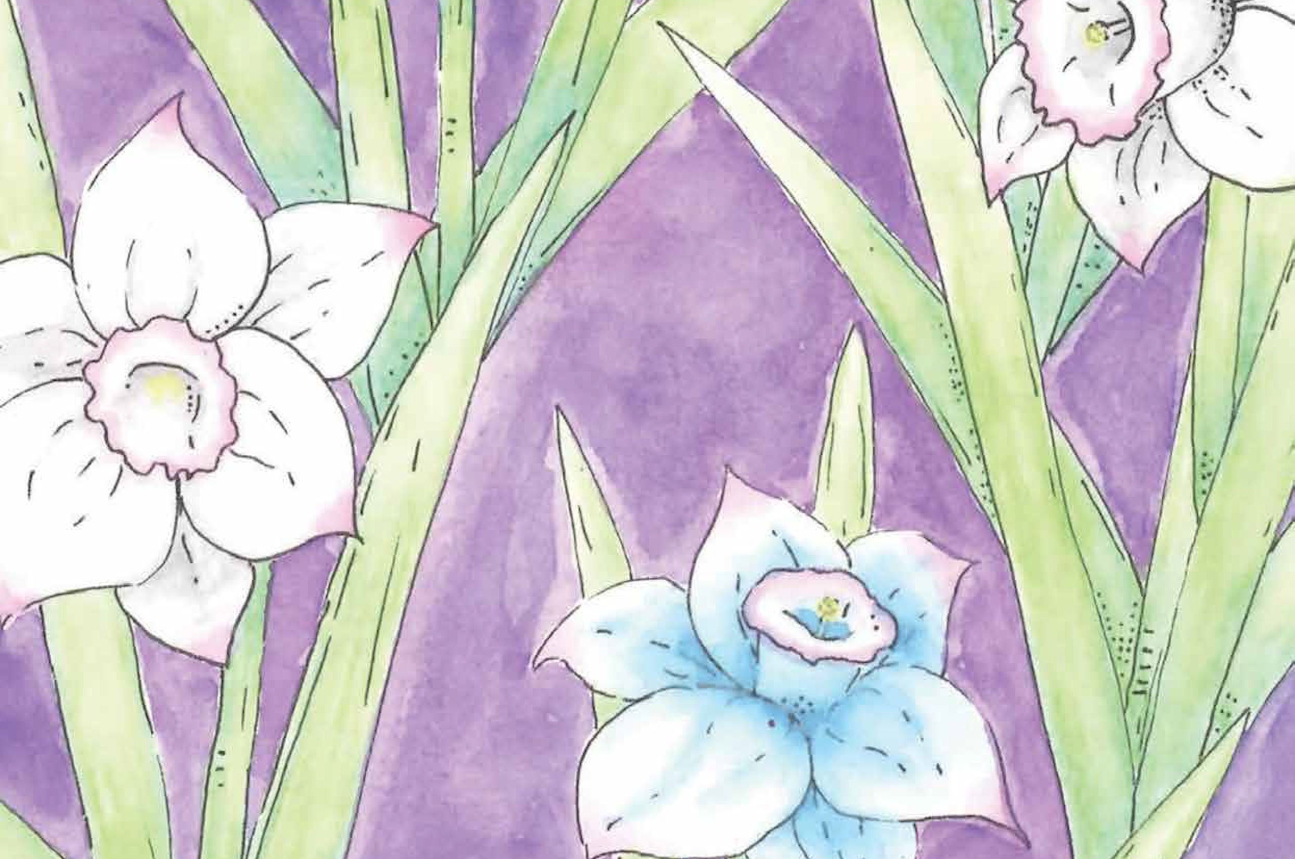 Painted design of pink, white and blue daffodils on a purple background