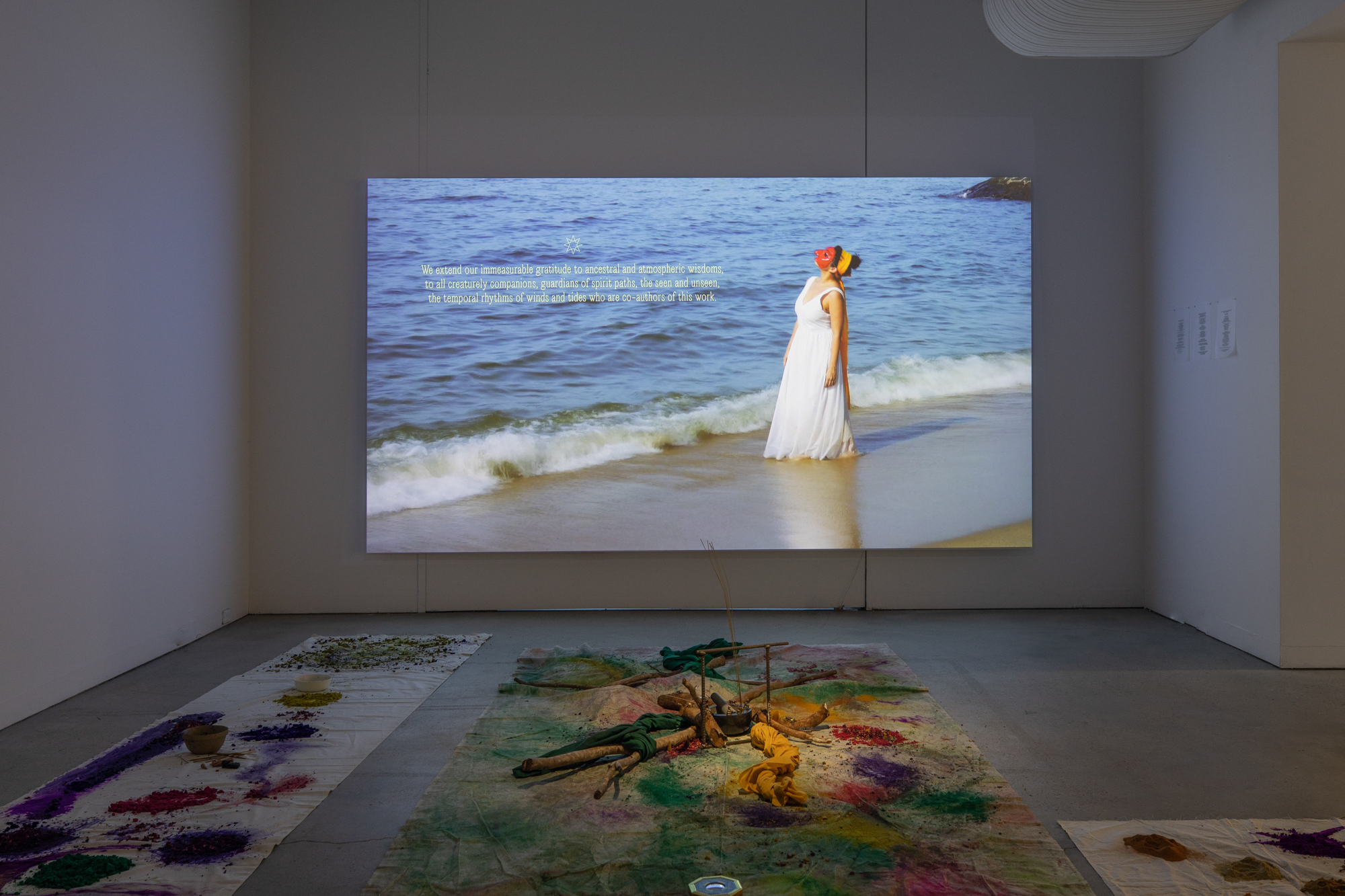 Zarina Muhammad-documentation