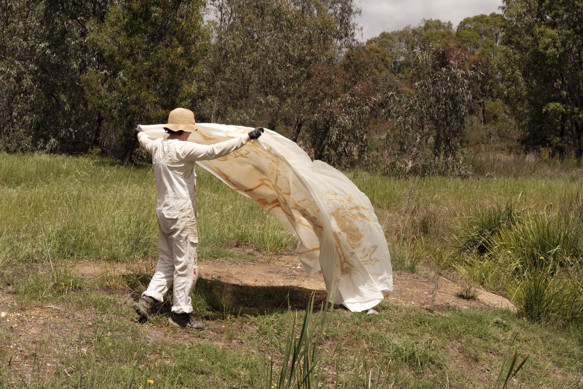 Raf McDonald development image