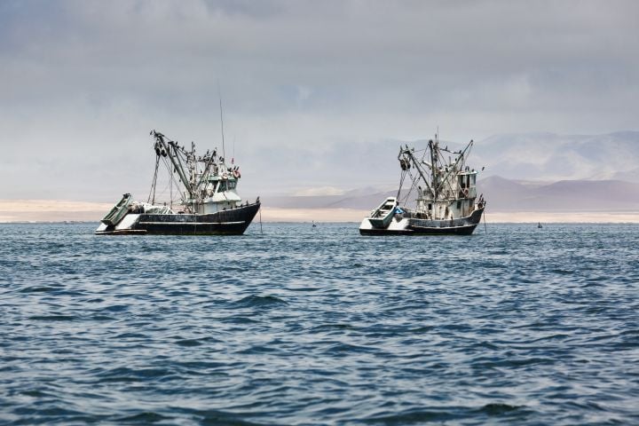 https://www.latrobe.edu.au/asia/images-la-trobe-asia/seafood-slavery-02.jpg/preview.jpg