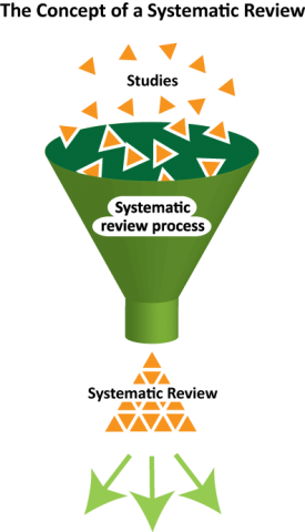 The concept of a systematic review