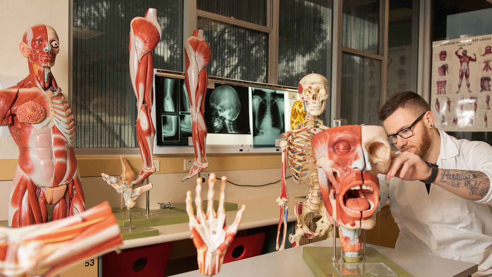 Health and medical sciences | Degrees and courses | La Trobe University