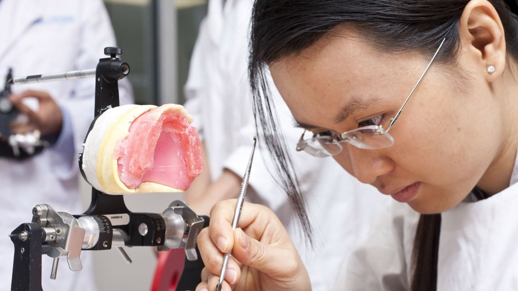 Bachelor of Dental Science (Honours) La Trobe University