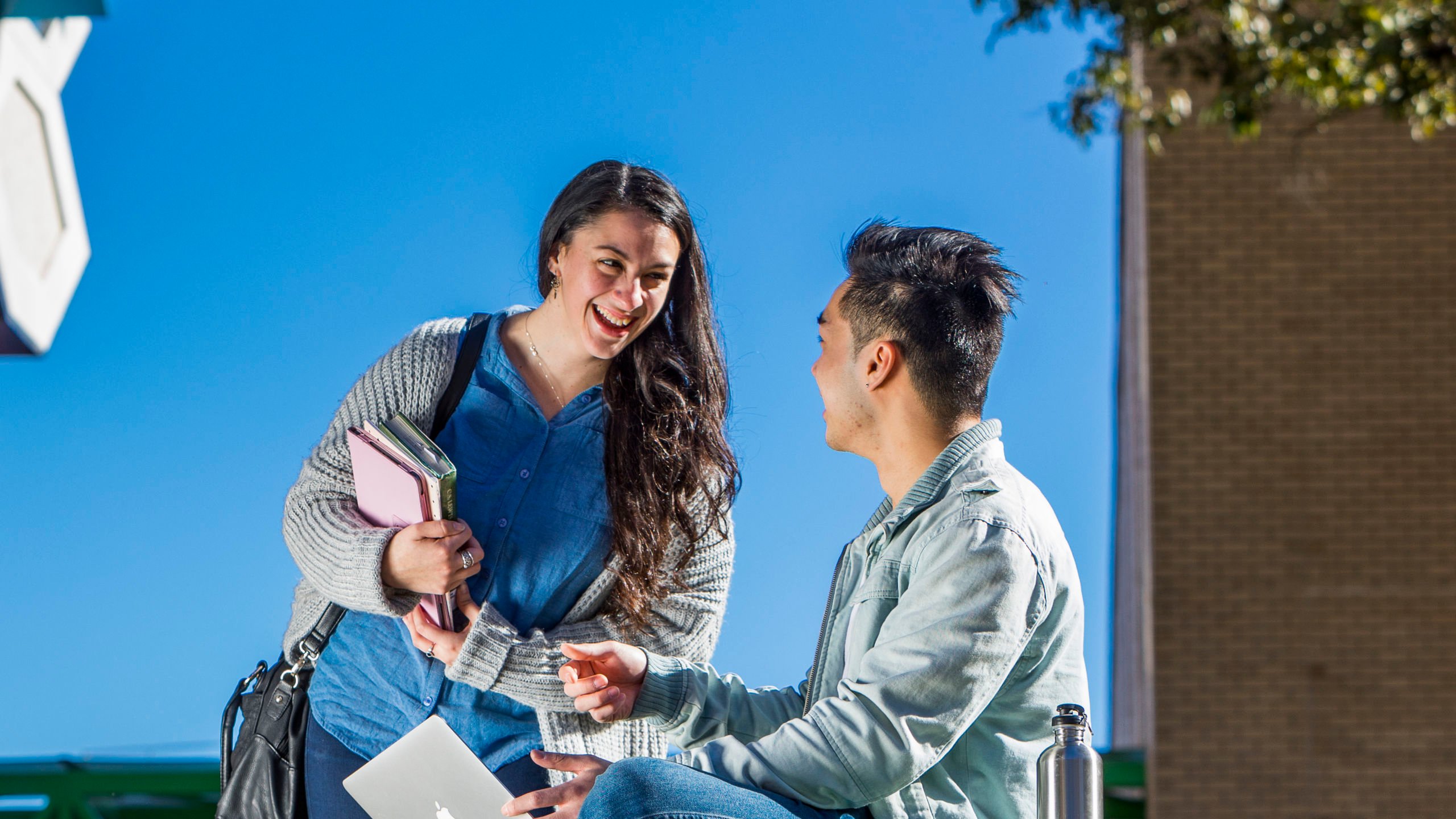 Phd degree requirements image