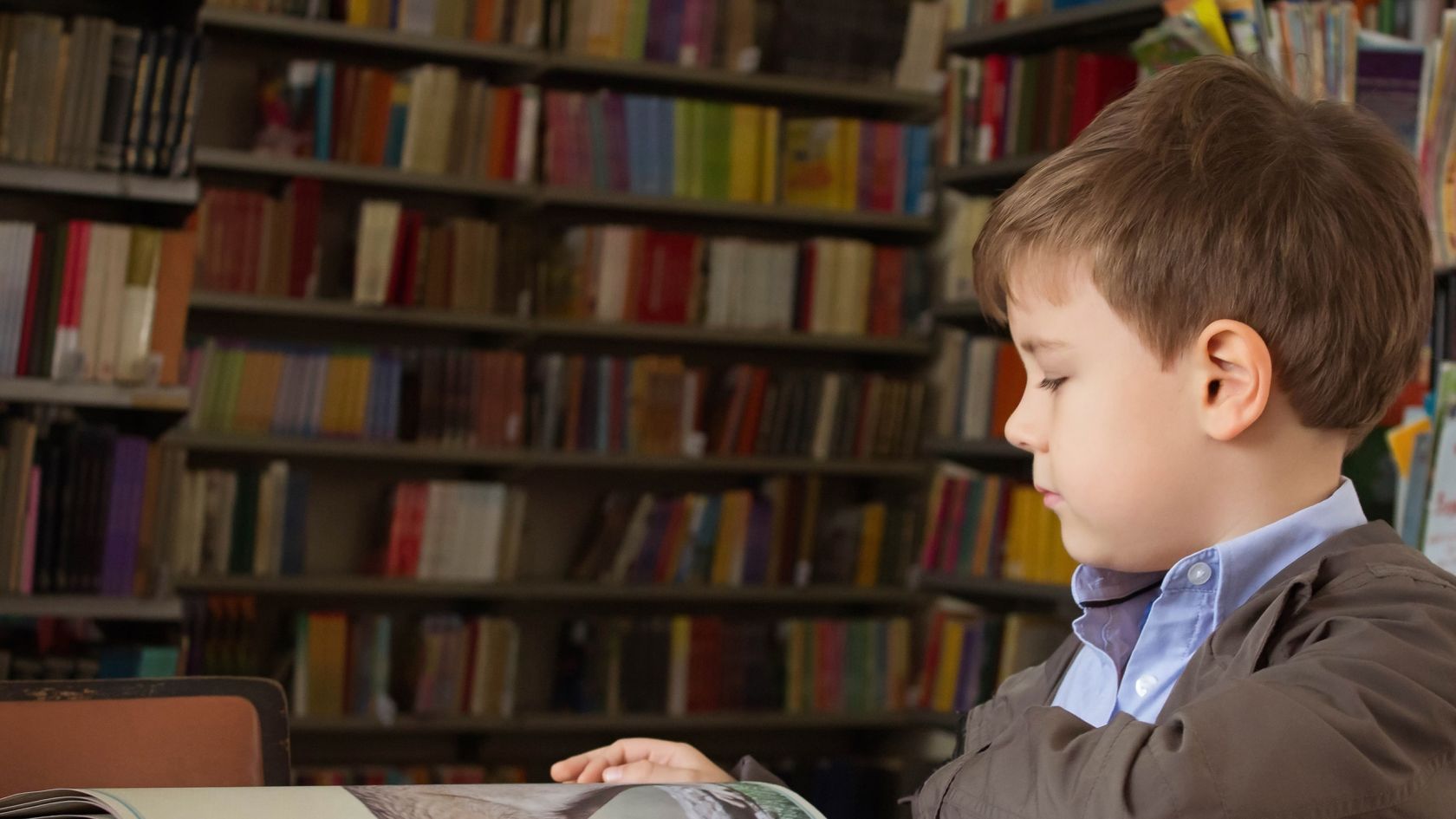 Bachelor Of Early Childhood Education Degrees And Courses La Trobe Bachelor Of Early Childhood Education Degrees And Courses La Trobe