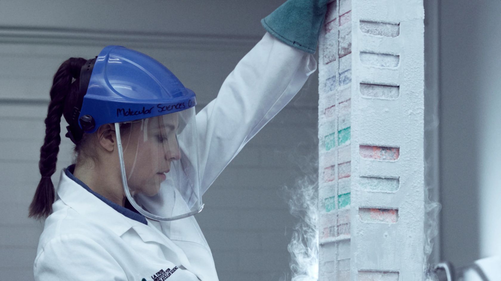 Bachelor of Biomedicine