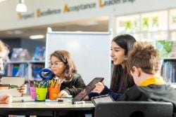 Students studying together 
