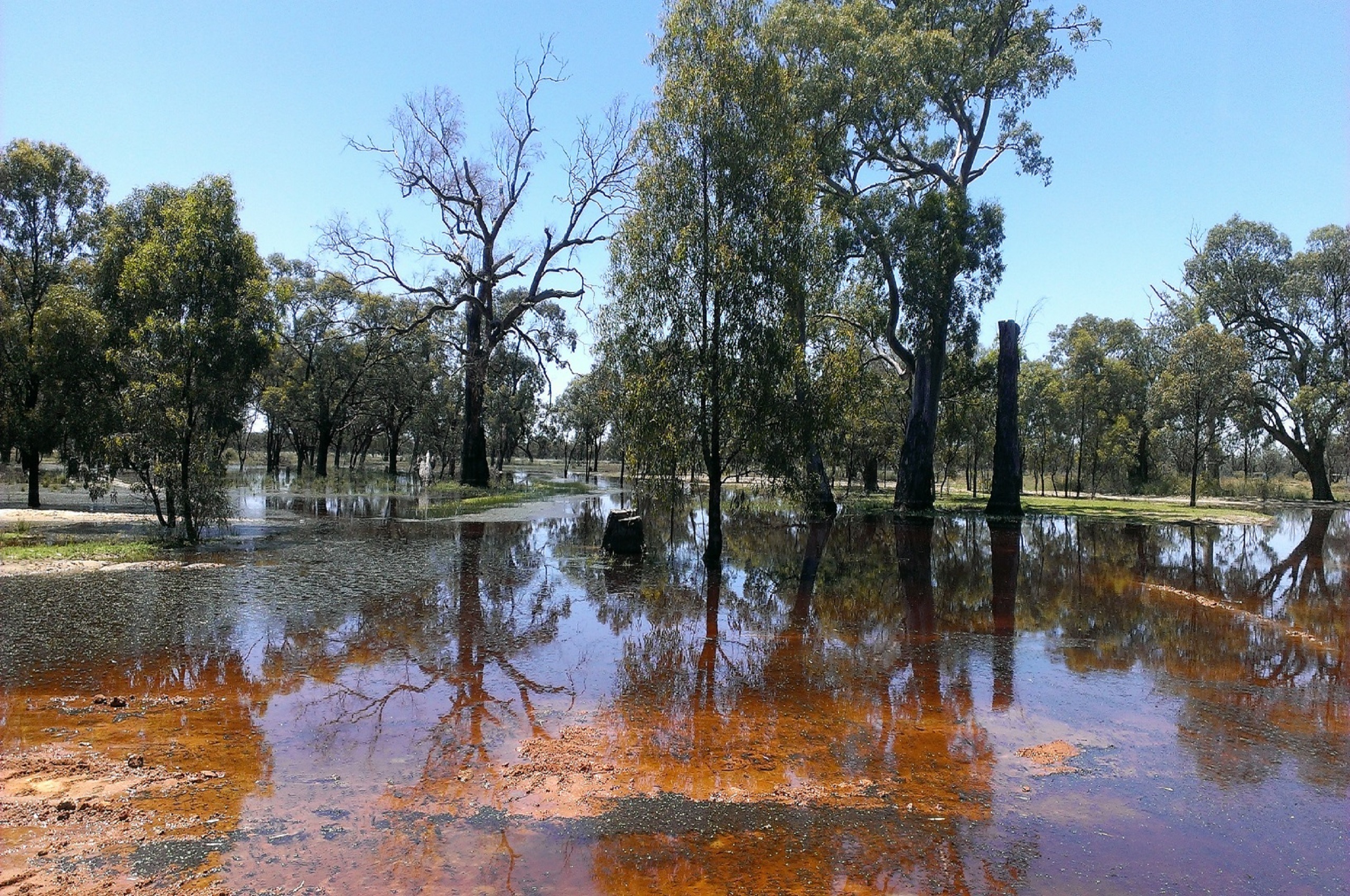Long Term Intervention Monitoring, Centre for Freshwater