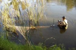 Two researchers working in a river