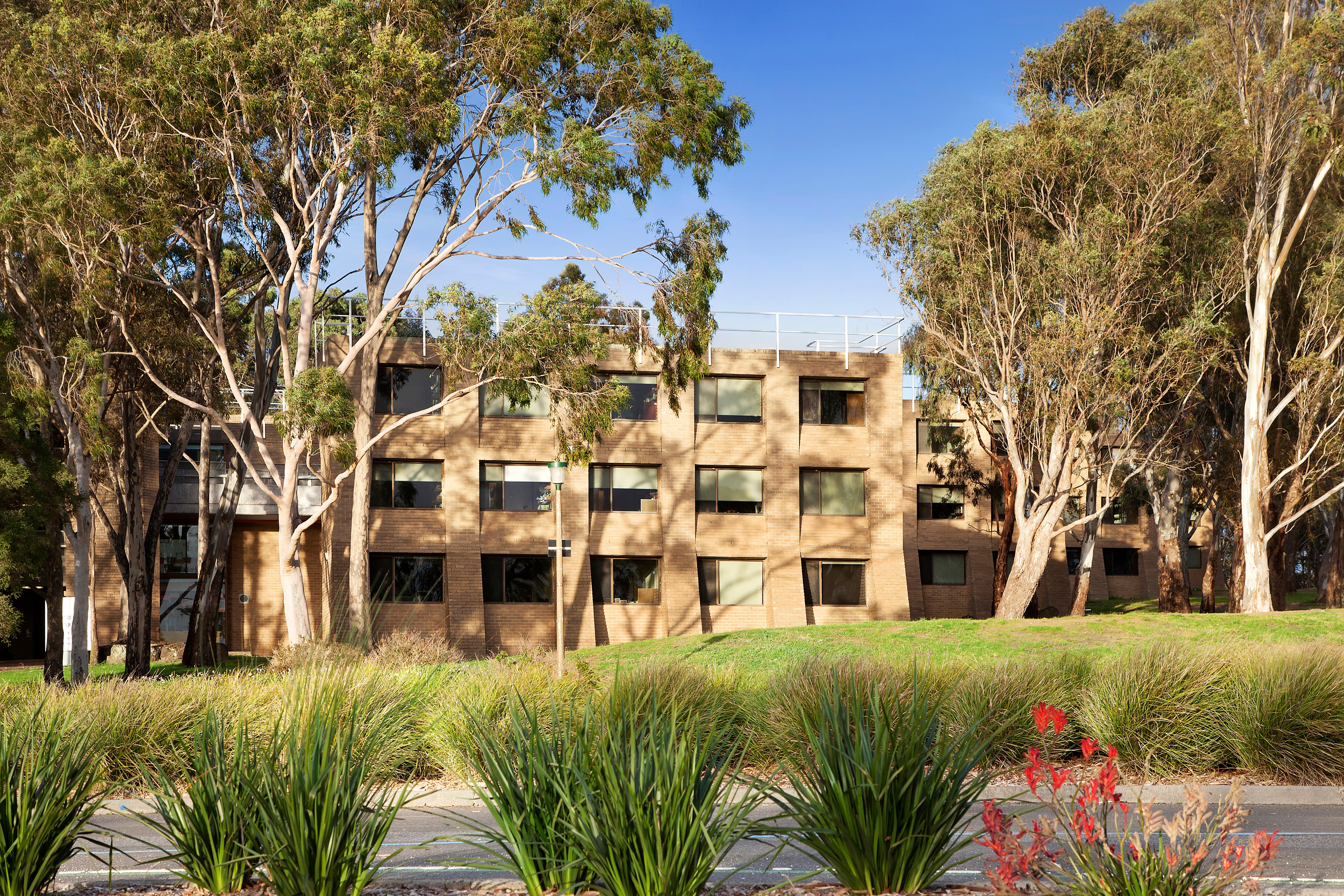 Native gardwn landscape, tall gum trees and exterior shot of Chisholm College.