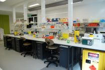 A lab within AgriBio