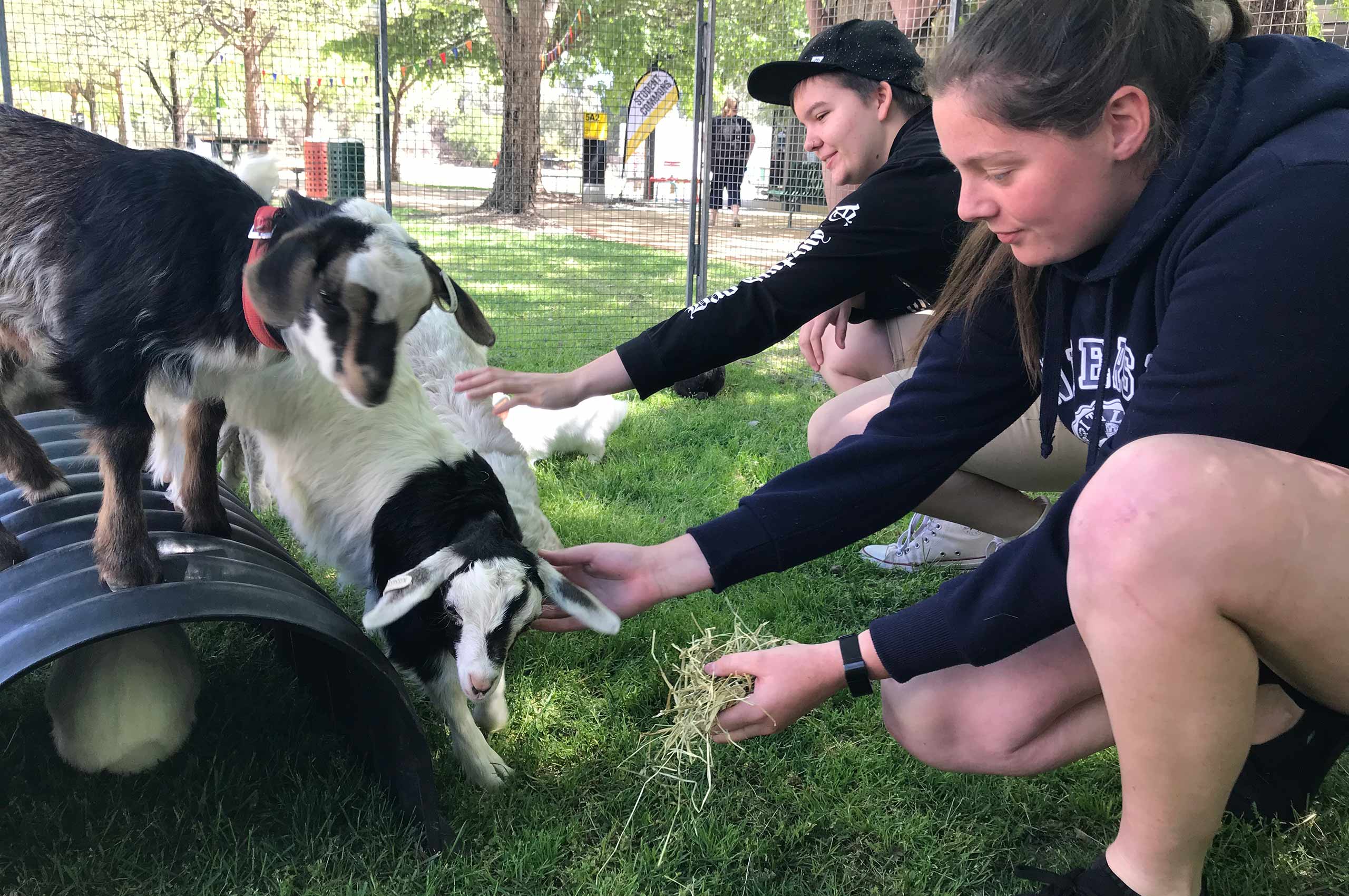 Two children petting animals at a campus event.