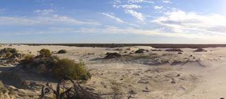 The dry lake bed is a rich source of important archaeological artefacts.