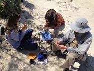 Each find is examined and recorded in the field.