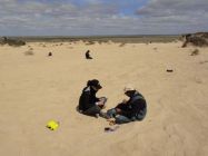 The team record their finds.
