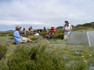 Students learn about potential climate change by seeing real-world experiments. Here, climate warming using open-top chambers on the Bogong High Plains. Photo: James Shannon.