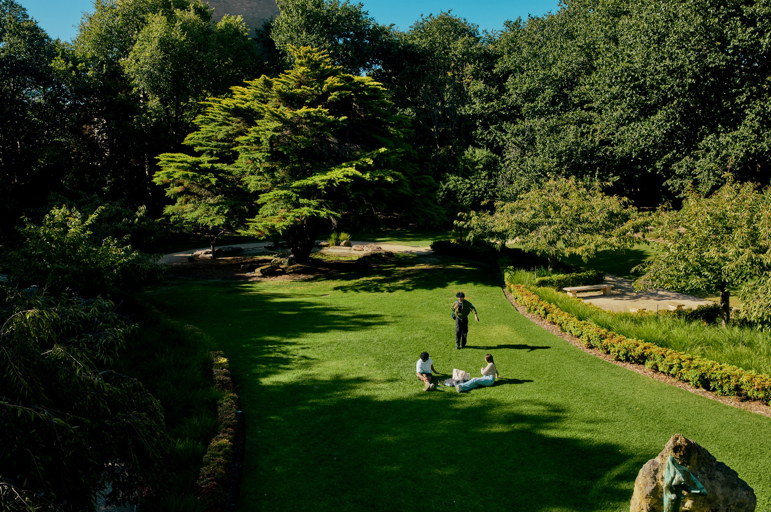 Overview photo of La Trobe's lawn surrounded with trees and students sitting on grass.