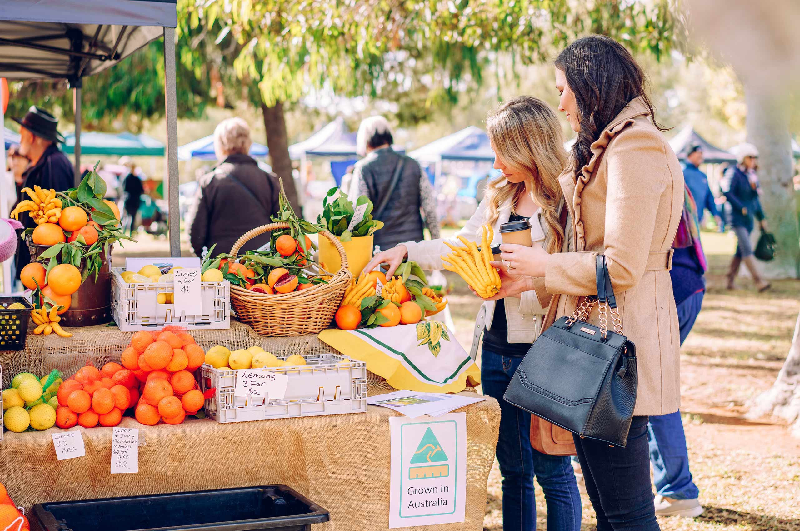 Two women browsing produce and products at a community market.