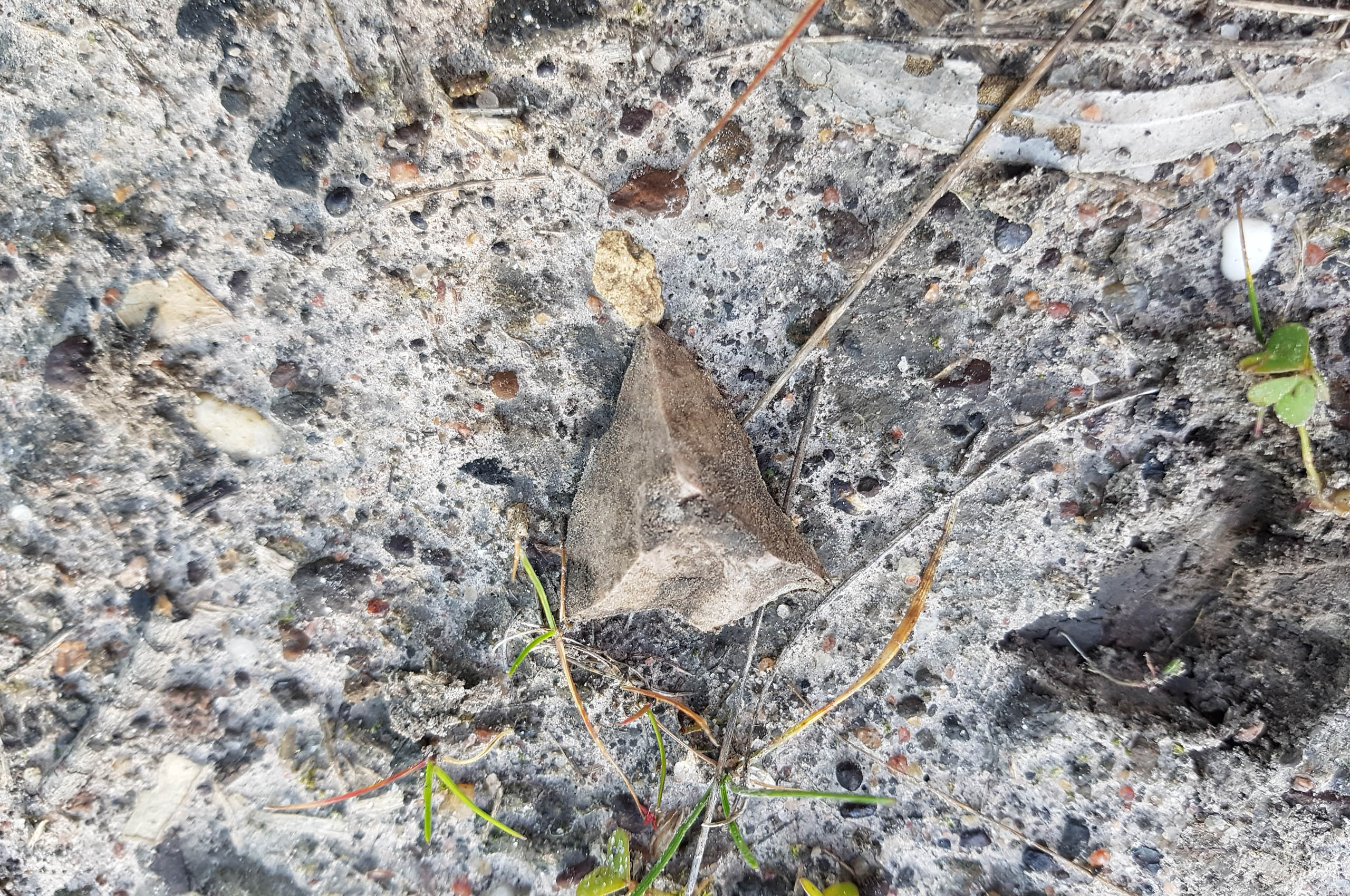 Indigenous stone artefacts were found as part of the Nangak Tamboree project