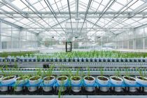 Lab photos of AgriBio, BASC, PPV
