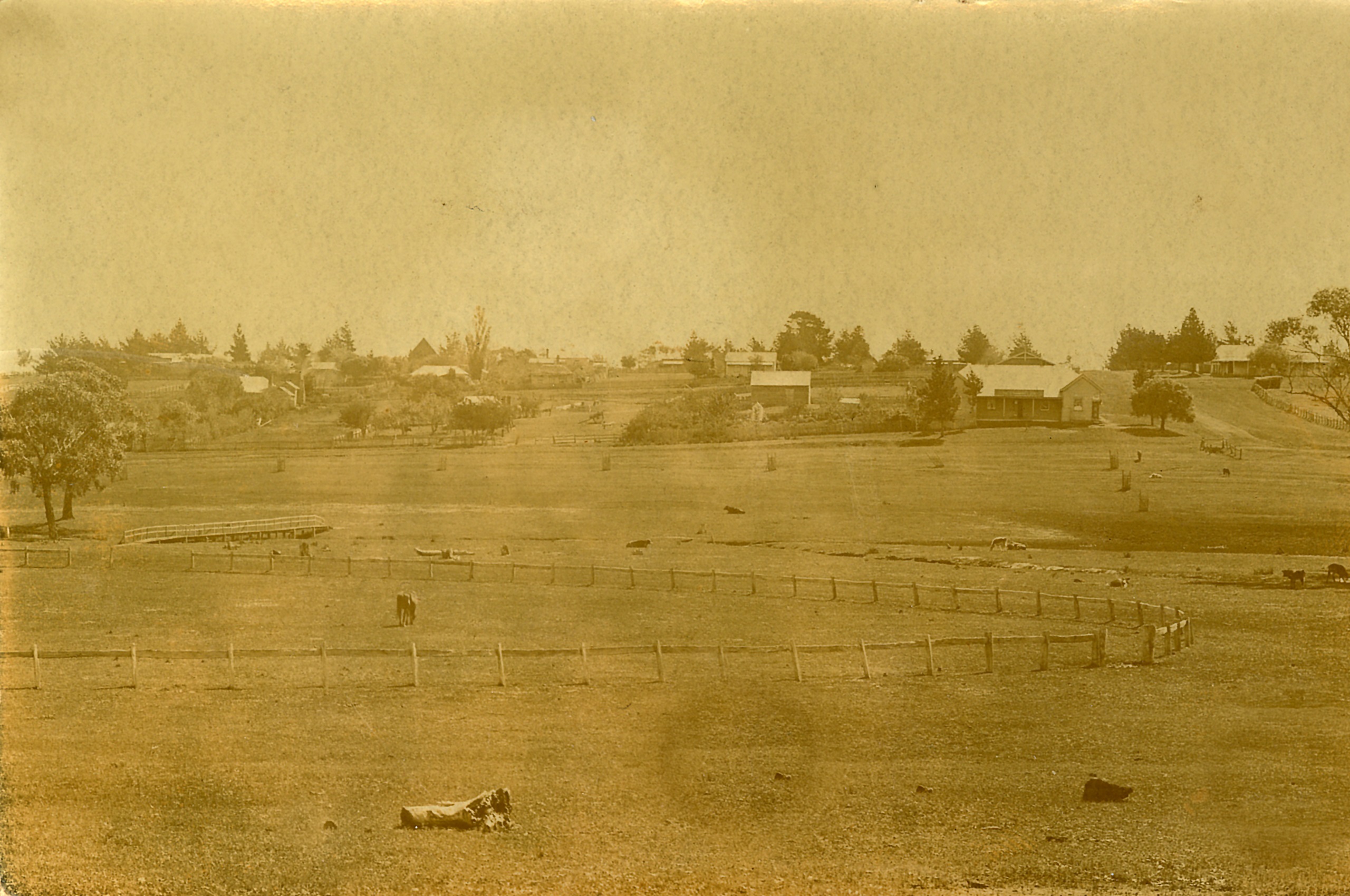 Branxholme viewed from the recreation reserve (c. 1920)