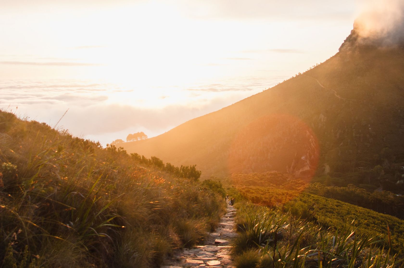 JLC Newsletter December 2020 edition, News, La Trobe University