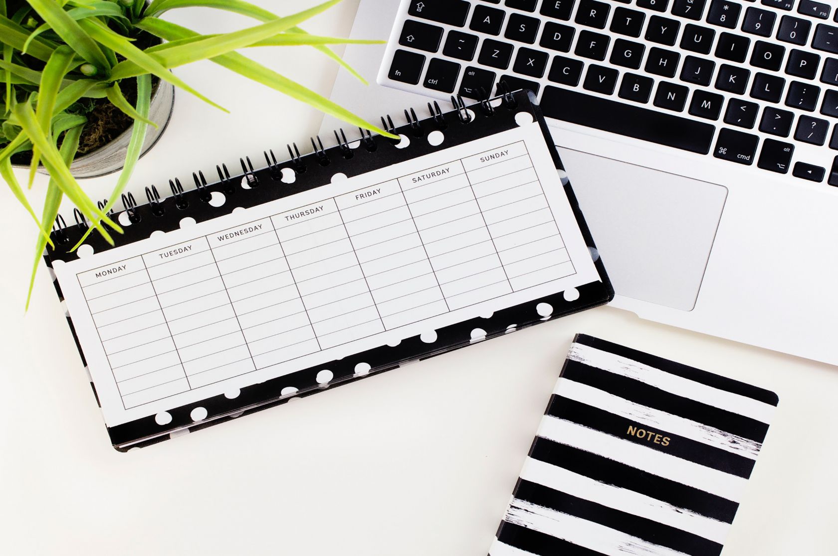 Plan my assessment, Study support, La Trobe University