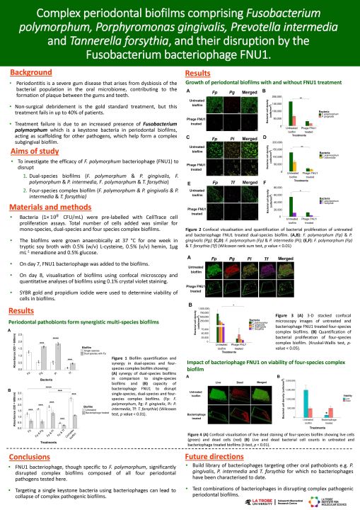 Poster for Entry number 17