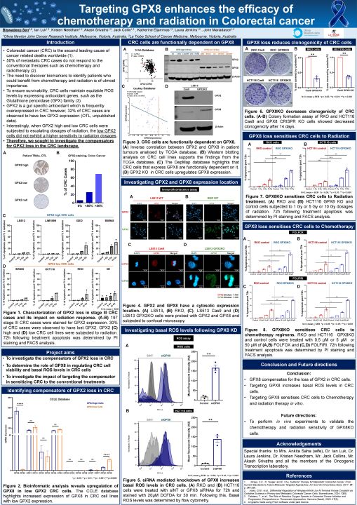 Poster for Entry number 6
