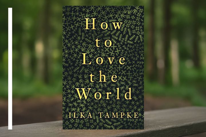 'How To Love the World' book cover