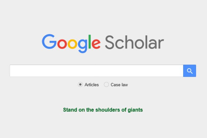 The Google Scholar search field