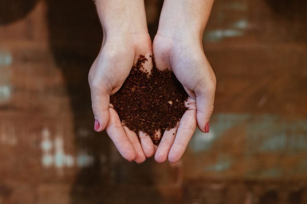 Worm farming is a great way to recycle your organic waste