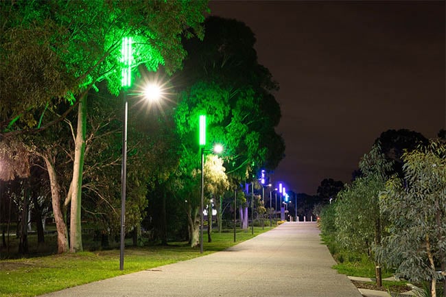 Science drive at night, lit up in green and blue