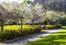 Message from the Vice-Chancellor: draft EDI Strategy – seeking your feedback