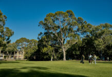 Students in front of trees at the Bundoora campus
