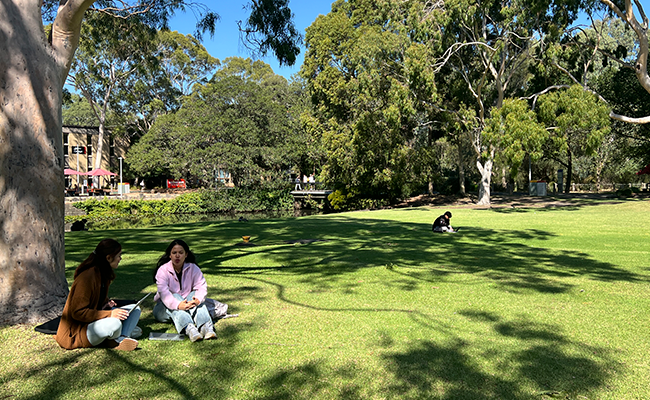 Two students sitting on the lawn at the Bundoora campus