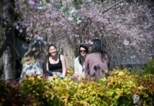 Students sitting in the gardens at La Trobe